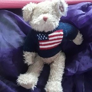 Vintage TY Beanie Babies - The Retired Grant 13" Bear